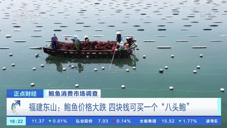 【鲍鱼便宜了:八头鲍价格腰斩!来两斤吗?】从今年二三月份开始,一直被称为“餐桌软黄金”的鲍